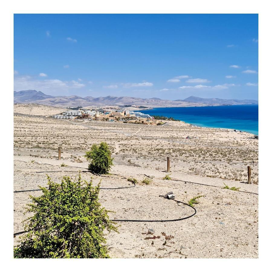Your Ocean Blue Costa Calma Esterno foto